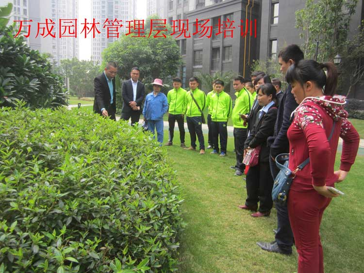 萬成園林管理層現場培訓
