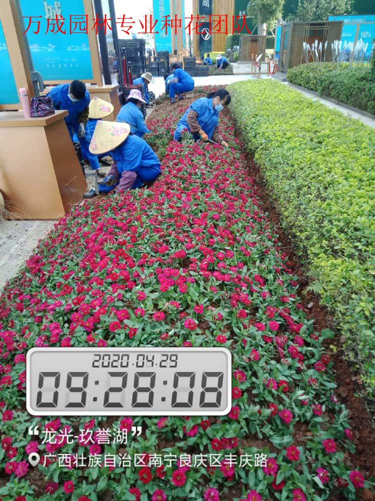萬成園林專業種花團隊