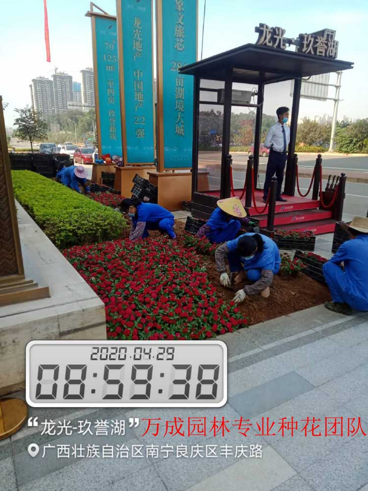 萬成園林專業種花團隊