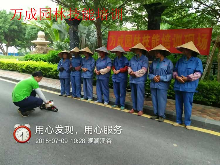 萬成園林技能培訓